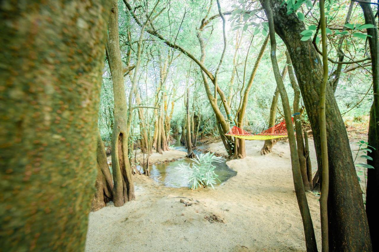 Kayjay Wild Wilpattu Exterior foto