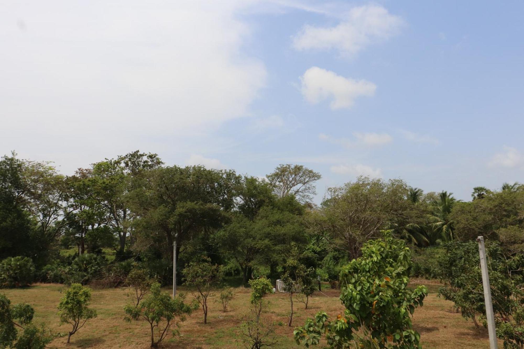 Kayjay Wild Wilpattu Exterior foto