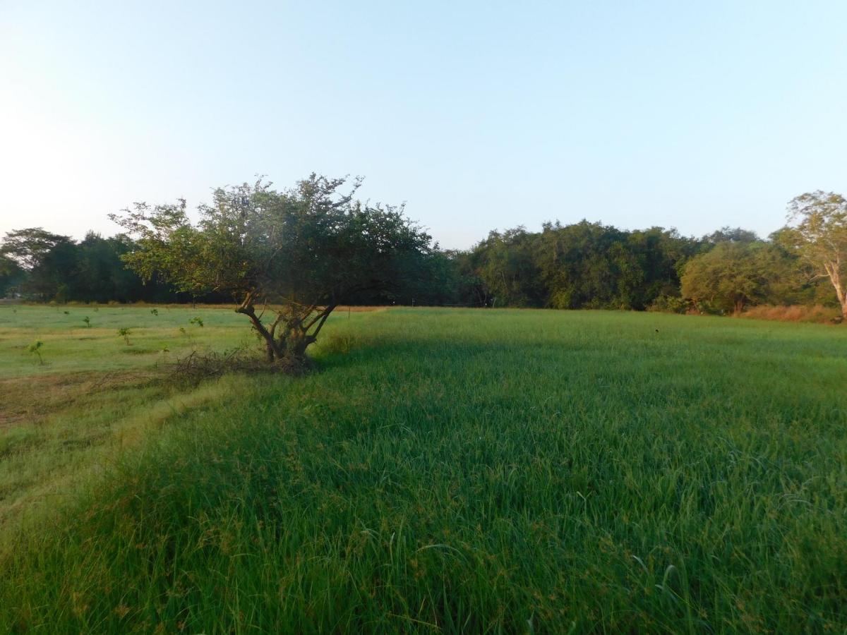 Kayjay Wild Wilpattu Exterior foto